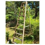 Werner 10' Ladder