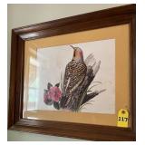 Northern Flicker Woodpecker Print