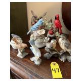 Bird Collection