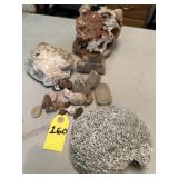 Rocks, Minerals And Coral