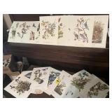 Vtg Audobon Prints