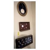 Framed Sea Shell Collection