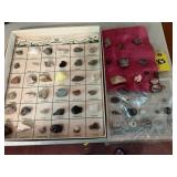 Rock And Shell Collection