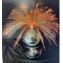 ONLINE COLLECTIBLES AUCTION