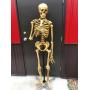 ONLINE AUCTION COLLECTIBLES & ODDITIES