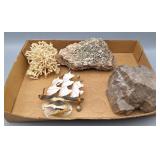 Coral & Rocks