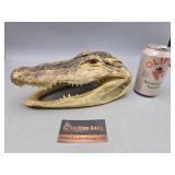 Alligator Head 10.5"