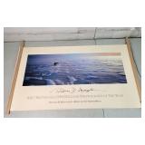 BBC/British Gas 1994 Wildlife Photograph Of The