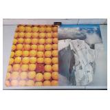 Hallmark Posters 20"ï¿½28" Has Pin holes & Spots