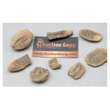 Mason Creek Fossils Fern & Plants