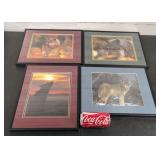 Wolf Picture Lot 11.5'x14.5'