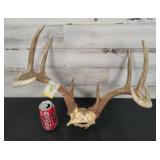 Deer Rack