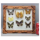 Framed Hanging Butterfly Display 11.5' ï¿½ 13.5'