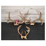 Deer Racks