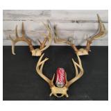 Deer Racks