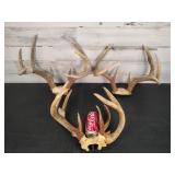 Deer Racks