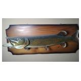 Northern Pike Fish Mount 32'
