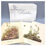 Art Prints - Audubon 18 Best Loved Bird Paintings