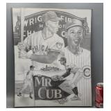 WrigleyField/Chicago Cubs Laminated Sketch 16.5'