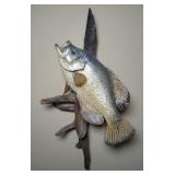 Crappie Fish Mount 15' Fish