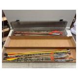 Assorted Arrows in Case and Box