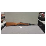 (1) Pump Air Rifle