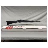Ruger 10/22 Rifle