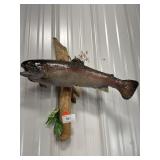 Rainbow Trout Mount