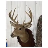 Deer Mount