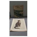 (3) Prints & (1) Reading-Jersey Central Magazine
