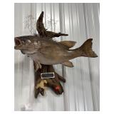 Small Mouth Bass Mount