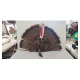 (1) Wild Turkey Wall Mount