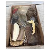 Animal Fur, Antlers, Jawbones and More