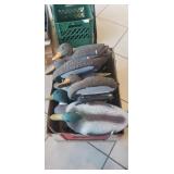 (12) Plastic Duck Decoys