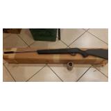 Sportsman RS2 Series Air Rifle