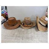 (3) Hats