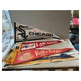 (10) Felt Souvenir/Sport Pennants
