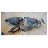 (2) Canadian Geese & (2) Duck Decoys