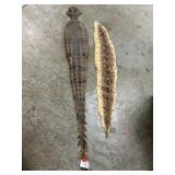 Preserved Alligator Tail, Snake Skin