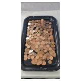 Tray Of Unsearched Wheat Pennies