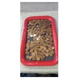 Tray Of Unsearched Wheat Pennies