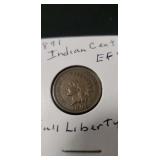 (1) 1891 Indian Head One Cent Coin
