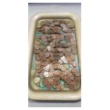 Tray Of Unsearched Wheat Pennies