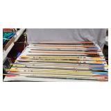 (20) Assorted Arrows