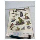 Lot Of PA Game Commission Posters