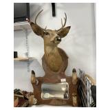 Deer Mount & Hoof Wall Mirror/Coat Rack