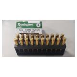 (20) Rounds 223 Remington Ammo