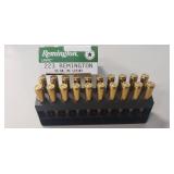 (20) Rounds 223 Remington Ammo