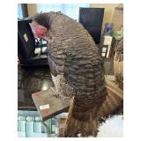 Turkey Mount