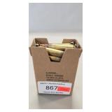 (30) Rounds 5.56mm Ammo